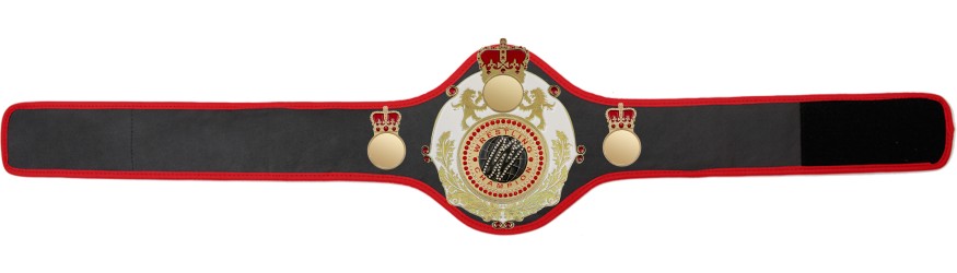 QUEENSBURY PRO LEATHER WRESTLING CHAMPIONSHIP BELT - QUEEN/W/G/WRESTGEM - 10+ COLOURS QUEENSBURY PRO LEATHER WRESTLING CHAMPIONSHIP BELT - QUEEN/W/G/WRESTGEM - 10+ COLOURS